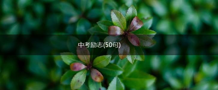 中考励志(50句),第1张