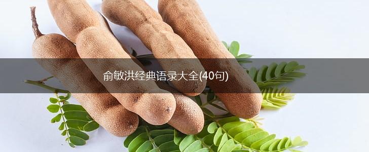 俞敏洪经典语录大全(40句),第1张
