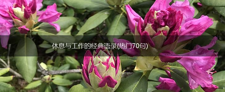 休息与工作的经典语录(热门70句),第1张