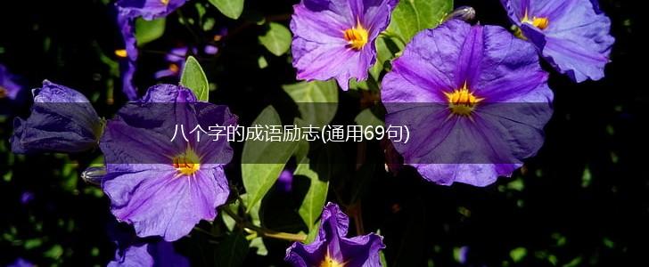 八个字的成语励志(通用69句),第1张