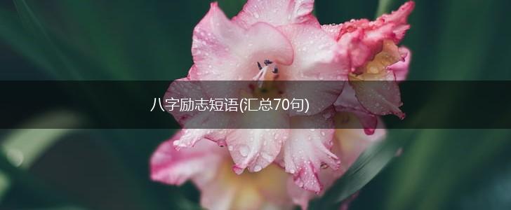 八字励志短语(汇总70句),第1张