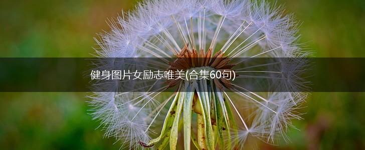 健身图片女励志唯美(合集60句),第1张
