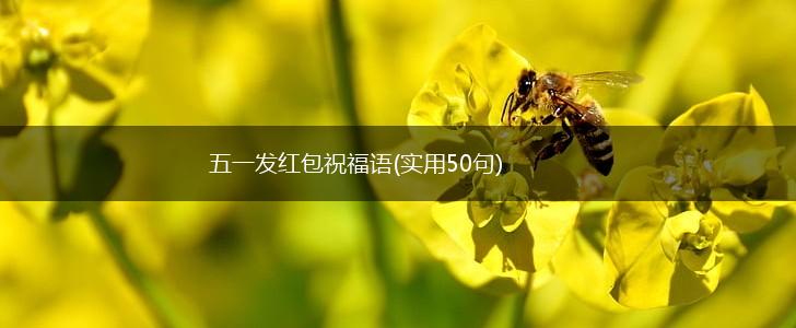 五一发红包祝福语(实用50句),第1张