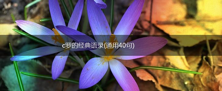 c罗的经典语录(通用40句),第1张