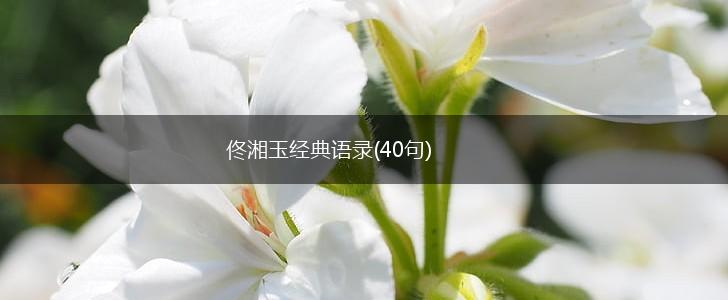 佟湘玉经典语录(40句),第1张