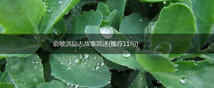 俞敏洪励志故事简述(推荐11句),第1张