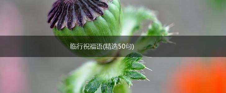 临行祝福语(精选50句),第1张
