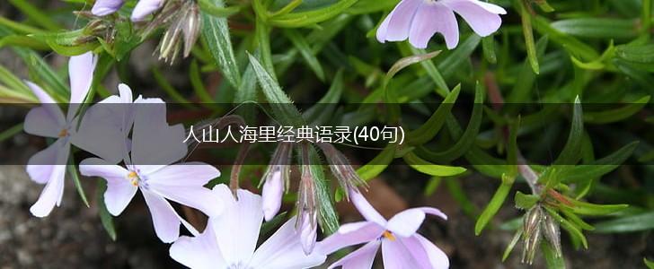 人山人海里经典语录(40句),第1张