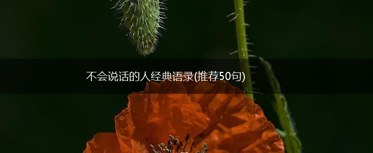 不会说话的人经典语录(推荐50句),第1张