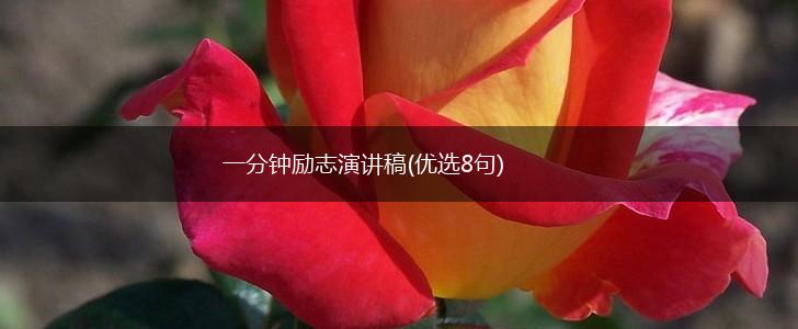 一分钟励志演讲稿(优选8句),第1张