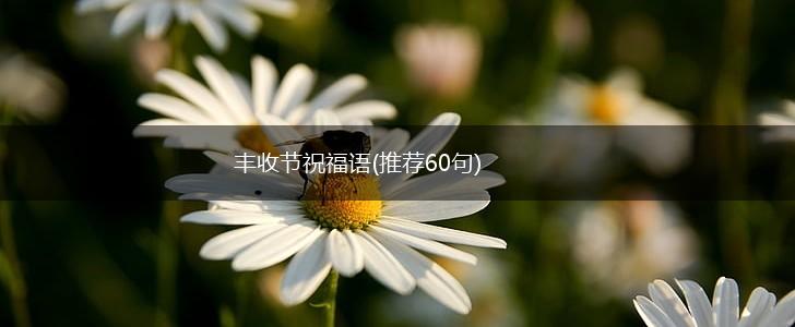 丰收节祝福语(推荐60句),第1张