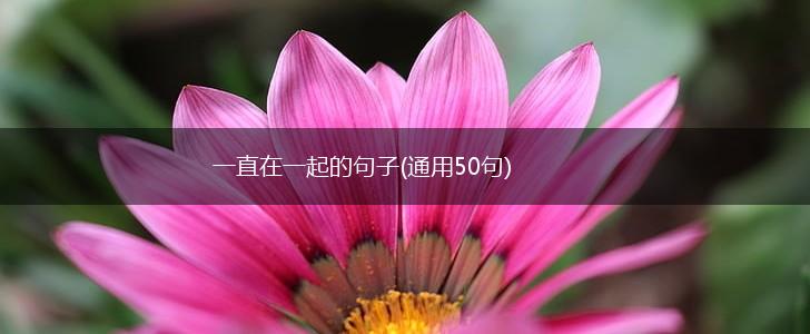 一直在一起的句子(通用50句),第1张