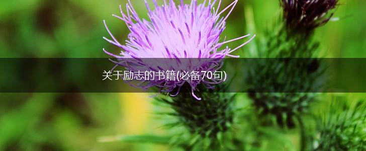 关于励志的书籍(必备70句),第1张
