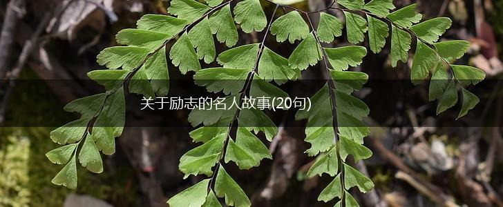 关于励志的名人故事(20句),第1张