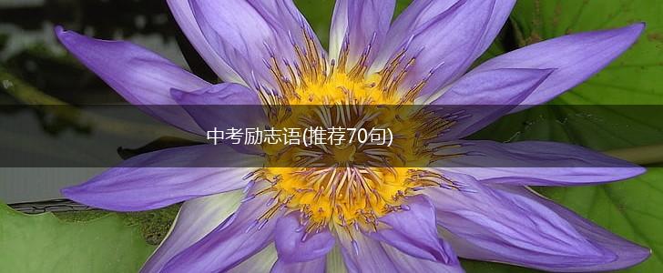 中考励志语(推荐70句),第1张