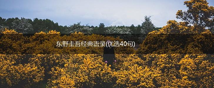 东野圭吾经典语录(优选40句),第1张
