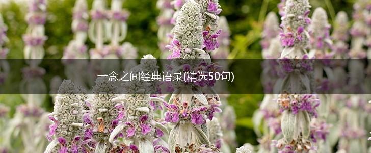 一念之间经典语录(精选50句),第1张