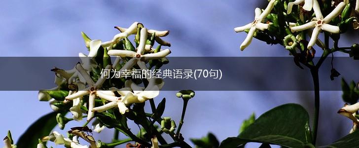 何为幸福的经典语录(70句),第1张