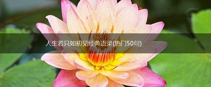 人生若只如初见经典语录(热门50句),第1张