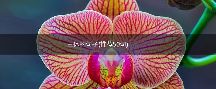 三体的句子(推荐50句),第1张