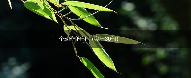 三个动作的句子(实用80句),第1张