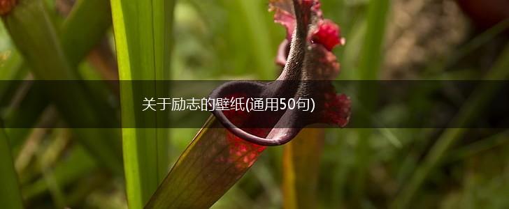 关于励志的壁纸(通用50句),第1张