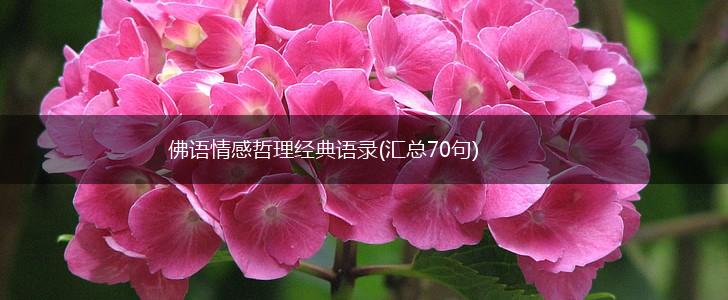 佛语情感哲理经典语录(汇总70句),第1张