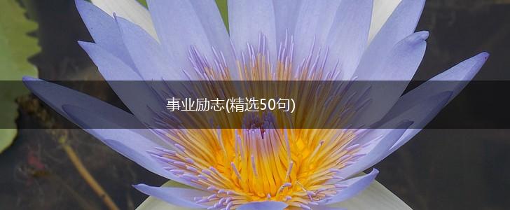 事业励志(精选50句),第1张