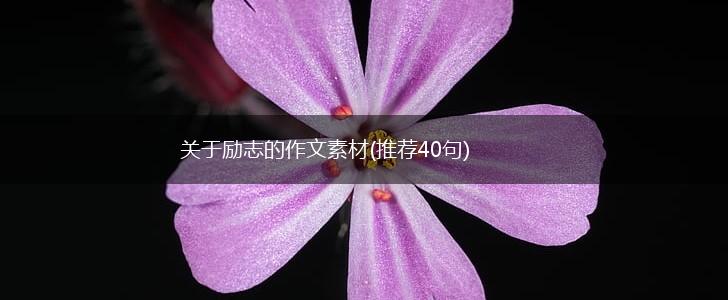 关于励志的作文素材(推荐40句),第1张