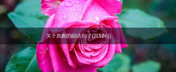 关于奔跑的励志句子(共50句),第1张