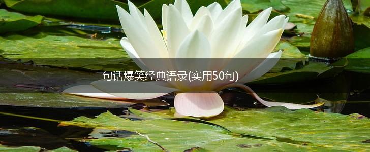 一句话爆笑经典语录(实用50句),第1张