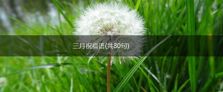 三月祝福语(共80句),第1张