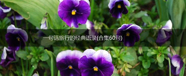 一句话旅行的经典语录(合集60句),第1张