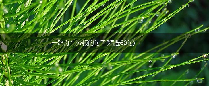 一路舟车劳顿的句子(精选60句),第1张