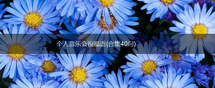 个人音乐会祝福语(合集40句),第1张