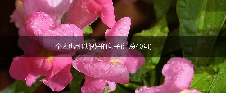 一个人也可以很好的句子(汇总40句),第1张