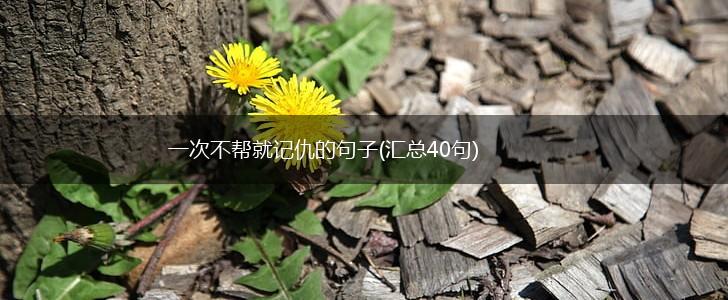 一次不帮就记仇的句子(汇总40句),第1张