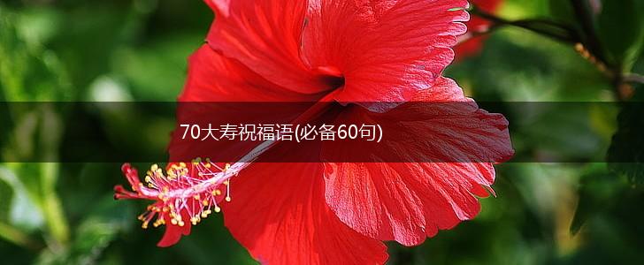 70大寿祝福语(必备60句),第1张