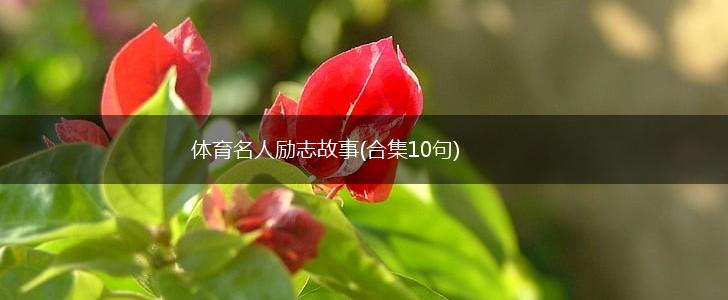 体育名人励志故事(合集10句),第1张