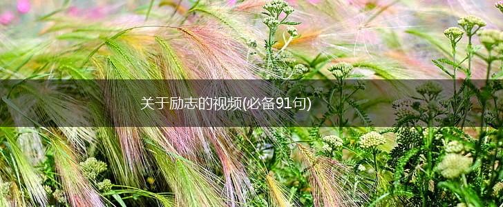 关于励志的视频(必备91句),第1张