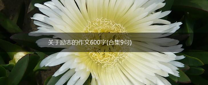 关于励志的作文600字(合集9句),第1张