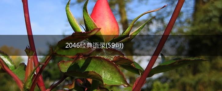 2046经典语录(59句),第1张