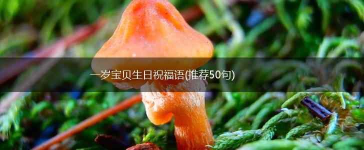 一岁宝贝生日祝福语(推荐50句),第1张