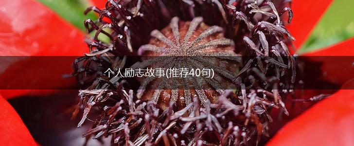 个人励志故事(推荐40句),第1张