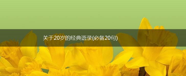 关于20岁的经典语录(必备20句),第1张
