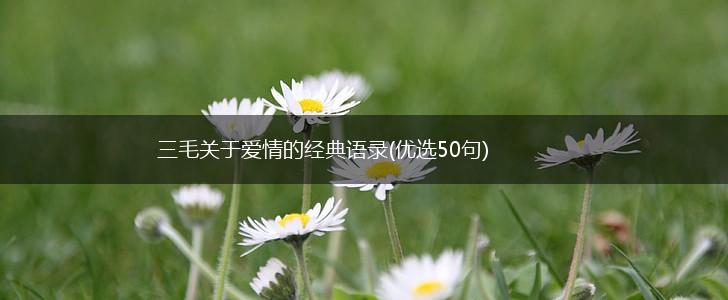 三毛关于爱情的经典语录(优选50句),第1张