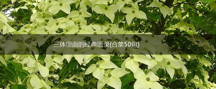 三体里面的经典语录(合集50句),第1张