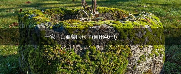 一家三口温馨的句子(通用40句),第1张