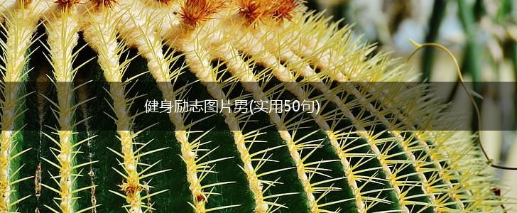 健身励志图片男(实用50句),第1张