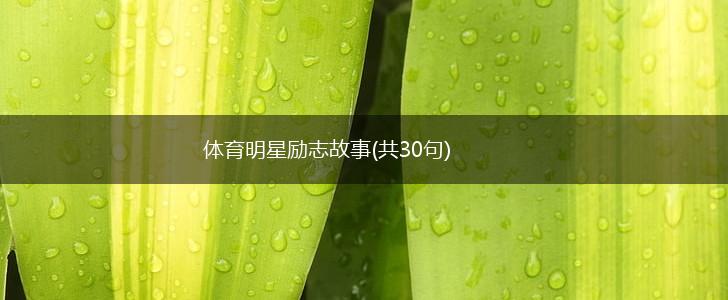体育明星励志故事(共30句),第1张